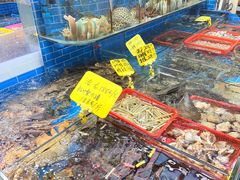 -船奇蒸汽海鲜·闽菜(八市海鲜总店)