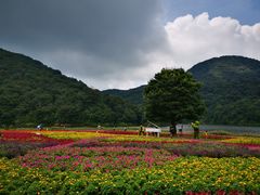 -广州市石门国家森林公园