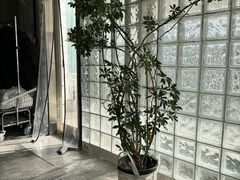-IES Restaurant(去未舍店)