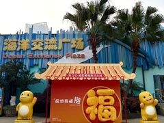 -海合安成都极地海洋公园