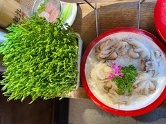 -重庆高老九火锅(昆山万象汇店)