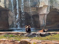 -海南热带野生动植物园