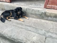 -恩阳古镇