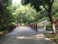 -燕晗山郊野公园