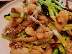 干煸鱿鱼-鹏天阁酒楼·海鲜(红旗店)