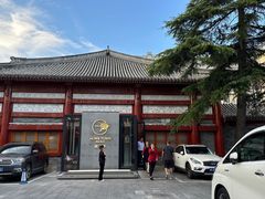 -荷唐·殿 Home Town Palace