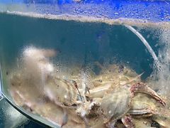 -蓝珊甄选海鲜自助·火锅大排档(近阿那亚店)
