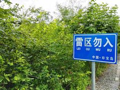 -珍宝岛