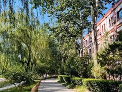 -丰台科技园生态主题公园