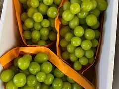 -南汇水蜜桃采摘(大团店)