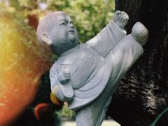 -狼山风景名胜区