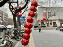 -和禄德冰糖葫芦