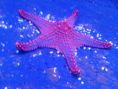 -沈阳海洋探索中心