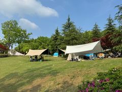 -铁山坪森林公园