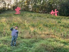 -云岭野山参风景区