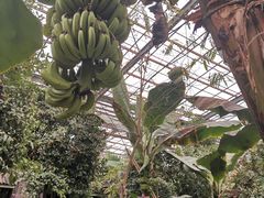 -呀路古热带植物园