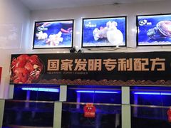 水产区-七欣天(浦东羽山乐坊店)