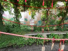 -印象普陀