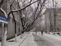-山东师范大学(千佛山校区)
