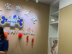 -康成宠物医院24H·CT·核磁共振