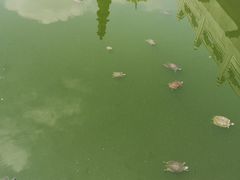-太平禅寺