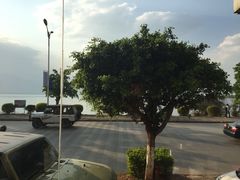 景观位-野菌皇海景野生菌火锅(滨海大道店)