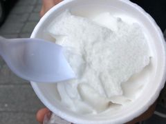 椰子雪糕-洪馨椰子