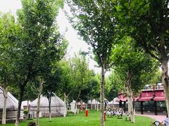 -九十九顶毡房(阜石路店)