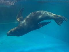 -青岛海底世界-水族馆