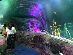 -沈阳海洋探索中心