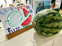 -帝京日语(春熙路旗舰校区)