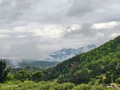 -乌石村