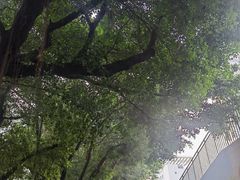 -人民公园(罗湖区)