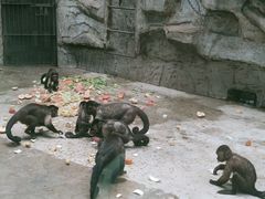 -石家庄市动物园