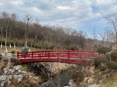 -羊山湖公园