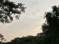 -蜀冈西峰生态公园