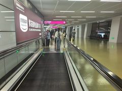 -郑州新郑国际机场-T2航站楼