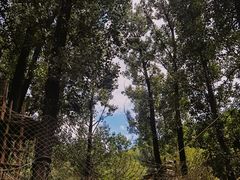 -蟠龙山长城景区