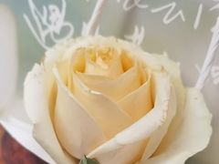 -芸山季·云南野生菌火锅(人民广场来福士店)