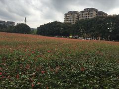 -北川巴拿恰