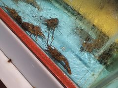 -皮记海鲜1995(寮步店)