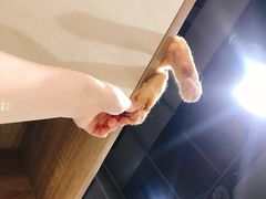 -藏猫猫咖啡主题馆(中央大道店)