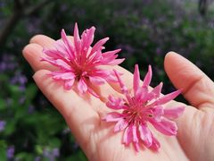 -白塘生态植物园