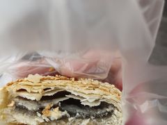 -江南蟹壳皇(新民桥店)