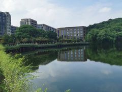 -杭州半山国家森林公园