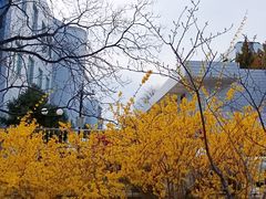 -彩虹大厦(开拓路)
