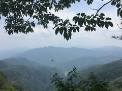 -牛背梁国家森林公园