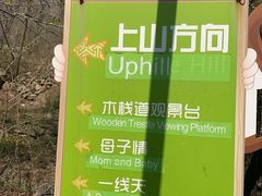 -大岭沟猕猴桃谷风景区