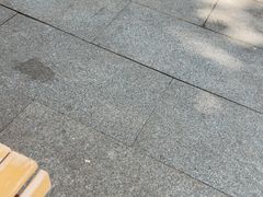 -Beans Solo豆号咖啡(百家湖花园店)