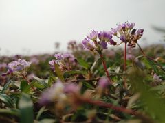 -鄱阳湖国家湿地公园